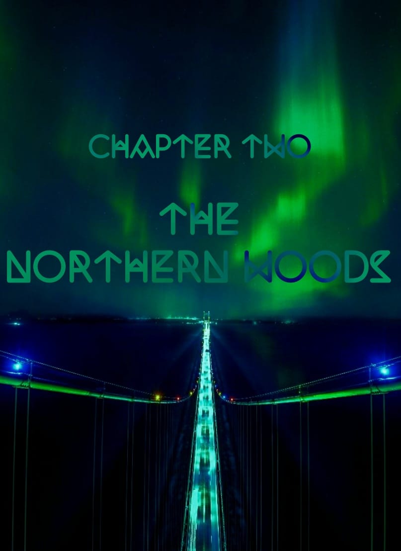 The Northern Woods