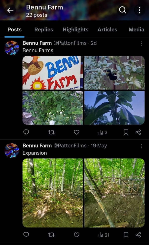 Bennu Farm X
